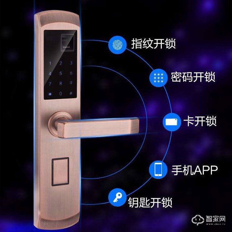 壹家智能锁手机APP智能指纹密码锁 家用指纹防盗锁ZN-3001